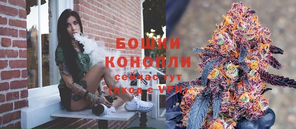 дмт Алагир