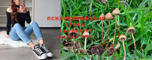 apvp Михайловск