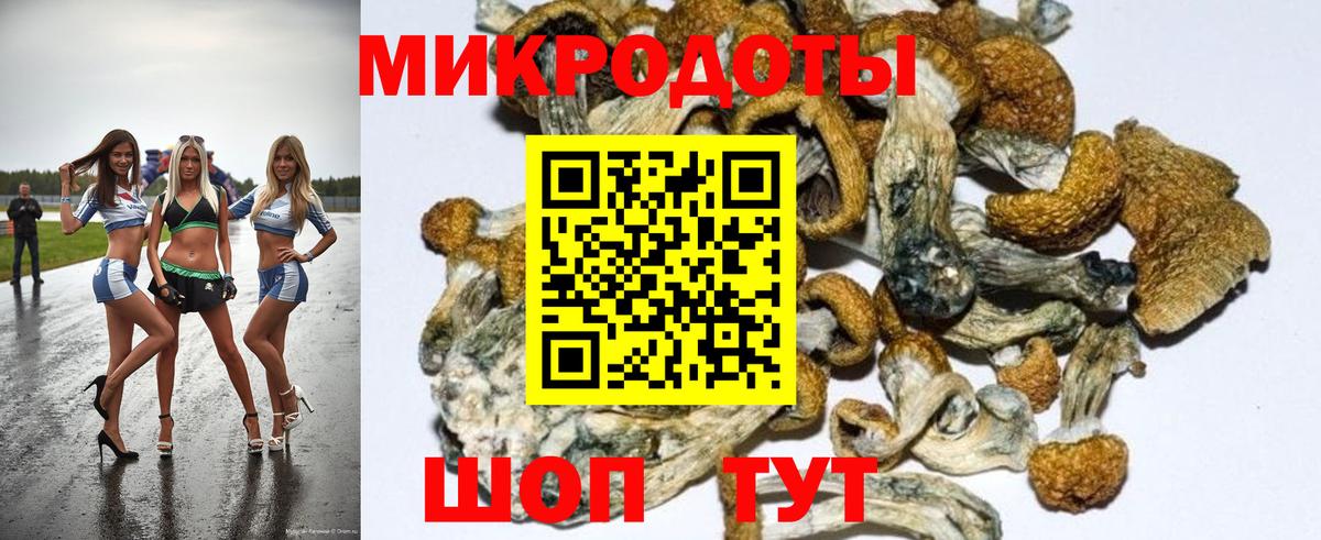 Псилоцибиновые грибы Magic Shrooms  Вход с VPN  Ярославль 